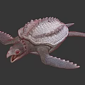 Modern Crocodile Turtle Cartoon Crocodile Turtle 3d model
