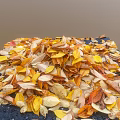 Colorful Autumn Leaves Scattered On Dark Square Surface With Natural Tones