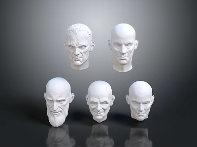 Five Detailed White Human Head Sculptures On Dark Background With Reflections 3d model