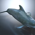 Gray Dolphin Model With Streamlined Body Fins Tail And Reflective Surface 3d model