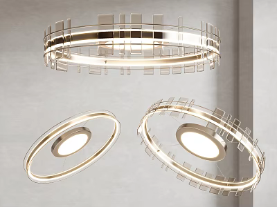 Modern Circular Ceiling Lights With Sleek Metal Frame And White Light Glow 3d model