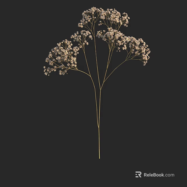 Elegant Floral Arrangement In Vase With White Small Flowers And Delicate Stems On Black Background 3d model 