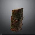 Red and Green Moss Covered Tree Stump with Cracked Surface and Small Protrusions