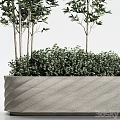 Decorative Green Leafy Potted Plants with Tall and Short Stems in Textured Planter