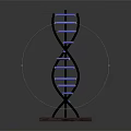 DNA Double Helix Model With Black Frame Blue Glowing Parts And Wooden Base