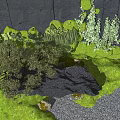 Natural Garden Landscape Featuring Gray Stone Wall Pine Trees Grasses and Mossy Rocks