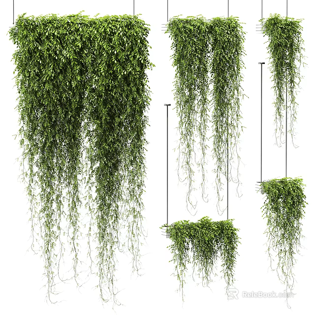 Lush Green Trailing Vines With Different Hanging Lengths And Dense Foliage 3d model