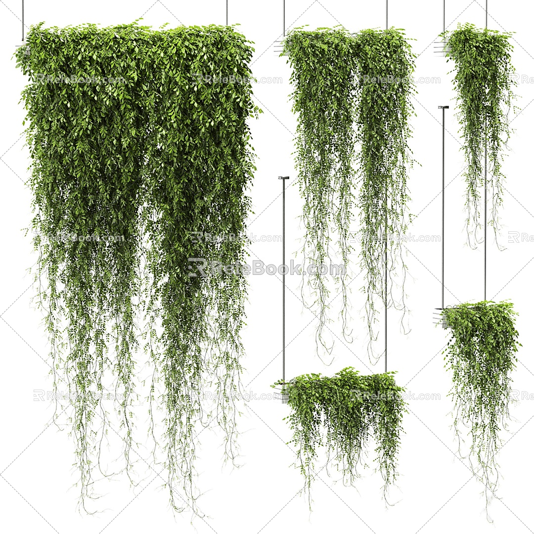 Plants in modern vine hanging pots 3d model