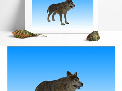 Realistic Reptile Standing on Blue Background with Green Leaves Around 3d model