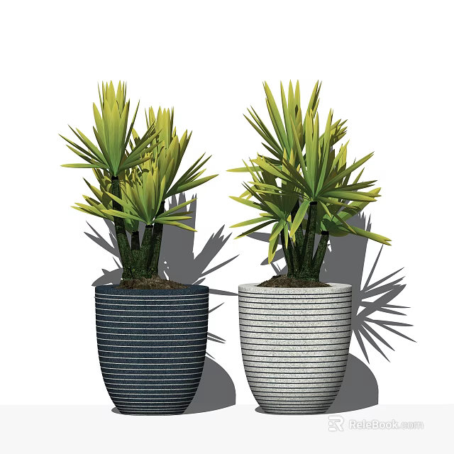 Two Bonsai Potted Plants with Green Leaves in Striped Blue and Gray Pots 3d model 