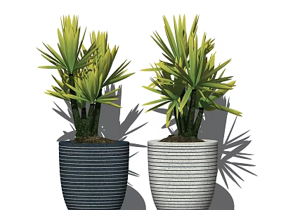 Two Bonsai Potted Plants with Green Leaves in Striped Blue and Gray Pots 3d model