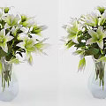 Beautiful White and Green Lilies Arranged in Transparent Glass Vase for Home Decoration