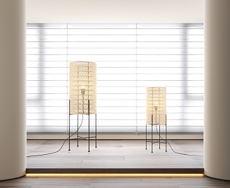 Modern Floor Lamp Curtain Floor Lamp 3d model