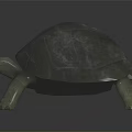 Realistic Gray Turtle Crawling With Detailed Textured Shell On Dark Background 3d model