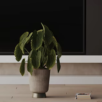 Modern Potted Plant 3d model