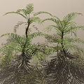 Lush Palm Trees With Green Feathery Leaves Brown Trunks And Scattered Leaves In 3D Render