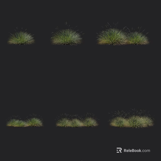 Green Herbaceous Plants In Different Shapes And Clumps On Black Background 3d model 