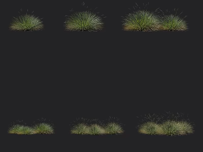 Green Herbaceous Plants In Different Shapes And Clumps On Black Background 3d model