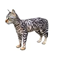 Spotted Striped Cat Standing Side View With Gray White Fur And Green Eyes Looking Left