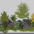 Tree Centerpiece with Various Plants Shrubs and Colorful Flowers in Garden Setting