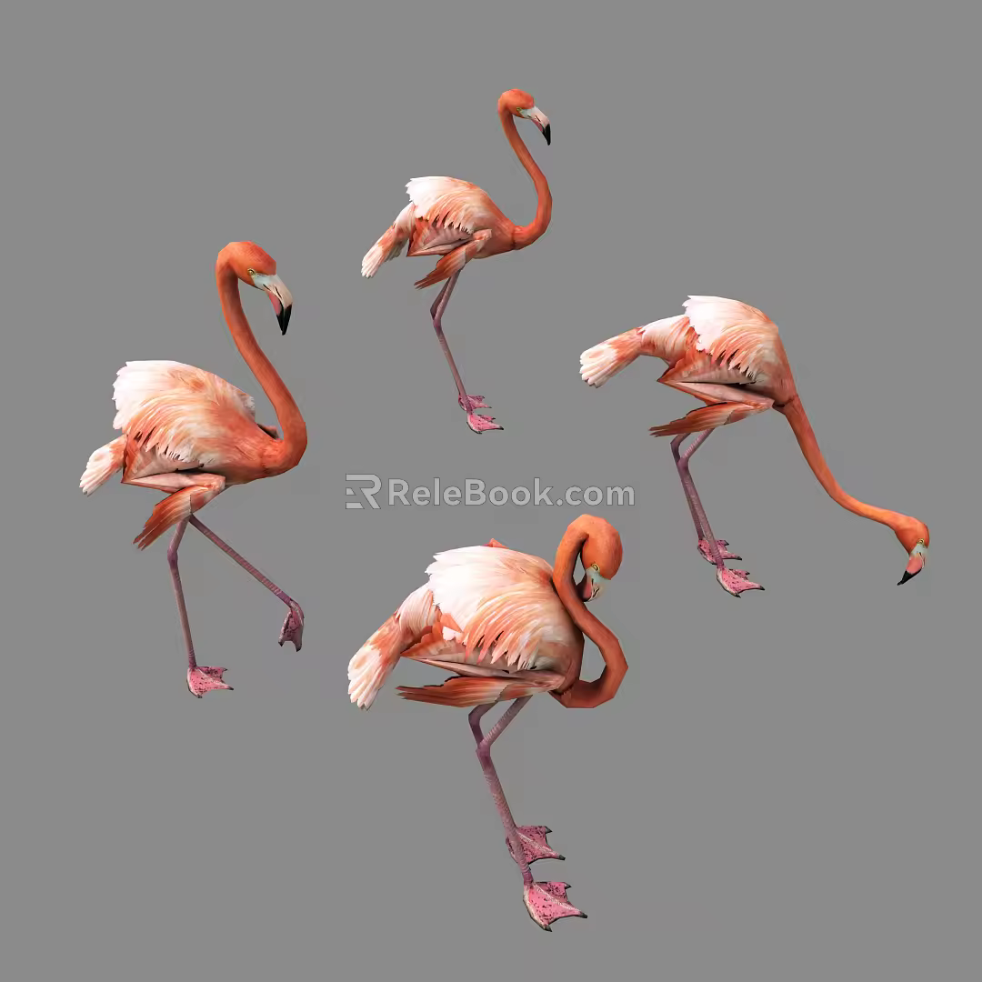 Modern Flamingo 3d model