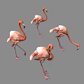 Modern Flamingo 3d model