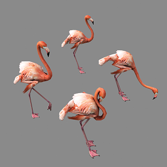 Modern Flamingo 3d model