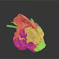Natural Dried Rose Plant with Orange Yellow Wilted Petals on Gray Background
