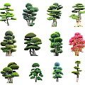 Various Artistically Shaped Arbor Trees With Different Forms For Garden Landscaping