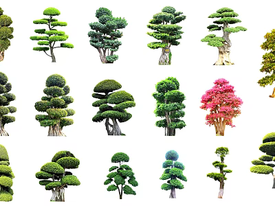 Various Artistically Shaped Arbor Trees With Different Forms For Garden Landscaping 3d model