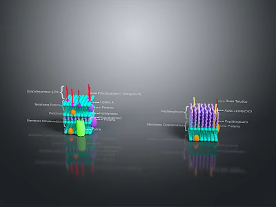Modern Colorful Household Supplies With Colored Poles And Storage Balls Design 3d model