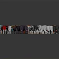 Various Colored Cow Breeds Arranged in Arc Formation with Central Orange Cow Standing Out