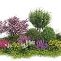 Modern Shrub Shrub Lavender 3d model