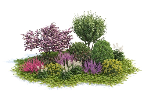 Modern Shrub Lavender 3d model