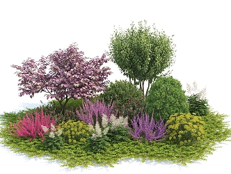 Modern Shrub Lavender 3d model