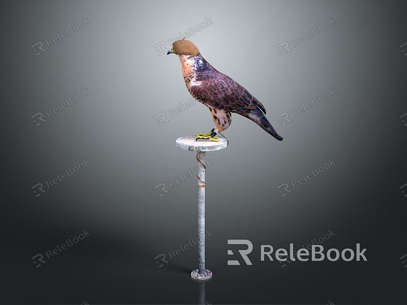 bird bird bird bird game animal cartoon animal animal realistic animal model