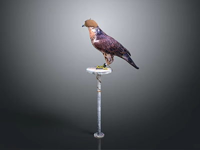 Falcon Wearing Brown Hat Standing On Metal Perch Against Dark Gray Background 3d model