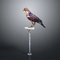 Falcon Wearing Brown Hat Standing On Metal Perch Against Dark Gray Background