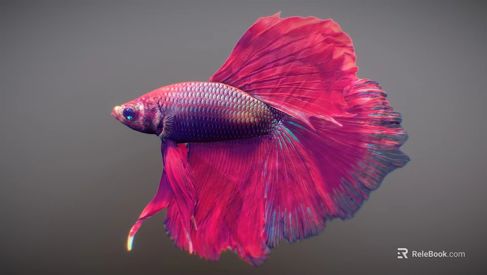 Vibrant Red And Purple Betta Fish With Flowing Fins And Gorgeous Appearance 3d model 