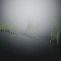 Cartoon Scene Of Simple Green Grass Clumps On Dark Ground With Reflections