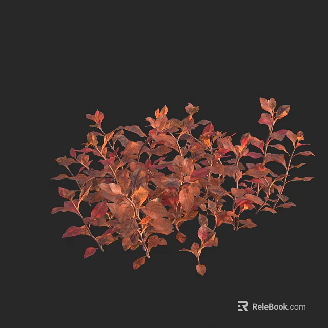 Lush Aquatic Plants With Vibrant Red And Brown Leaves In Close Up View 3d model 