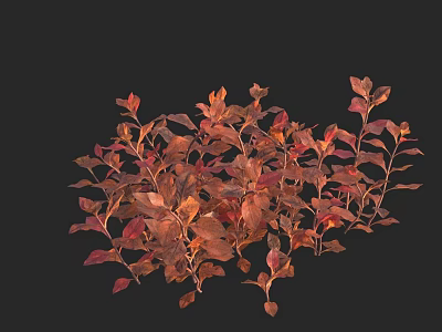 Lush Aquatic Plants With Vibrant Red And Brown Leaves In Close Up View 3d model