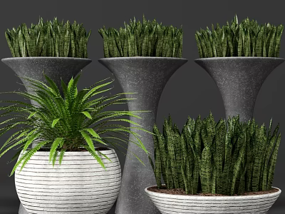 Green Leafy Bonsai Potted Plants in Gray and White Planters for Home Decor 3d model
