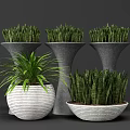 Green Leafy Bonsai Potted Plants in Gray and White Planters for Home Decor