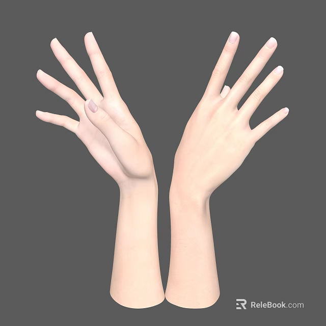 Human Hands And Arms With Open Palms Fingers Spread In Upward Position 3d model 
