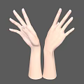 Human Hands And Arms With Open Palms Fingers Spread In Upward Position