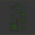 Various Garden Plants With Green Grass And Colorful Flowers In Different Forms