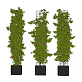 Vertical Bonsai Potted Plants with Green Vines Purple Flowers in Black Square Pots Metal Frames