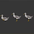 Three White and Gray Seagulls Standing with Yellow Beaks and Feet on Smooth Surface with Reflections