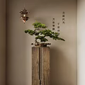 Bonsai Tree on Wooden Stand with Traditional Lantern in Chinese Style Interior